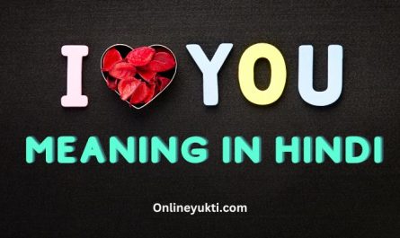 I love You Meaning In Hindi