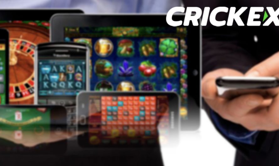Best Cricket Betting App in India | Crickex Betting App